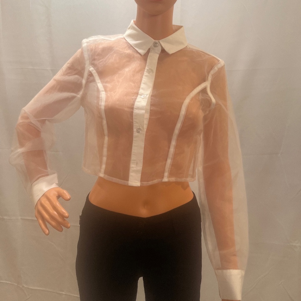Sheer Superdown cropped top